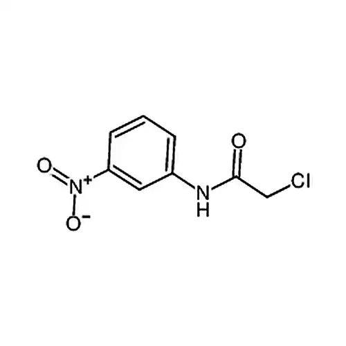 2-氯-3'-硝基乙酰苯胺
