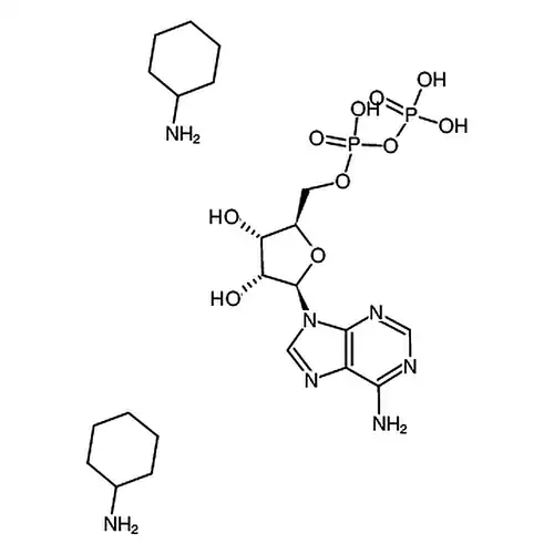 腺苷-5'-二磷酸二环己胺盐