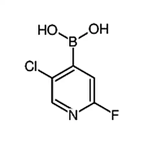 2-氟-5-氯吡啶-4-硼酸