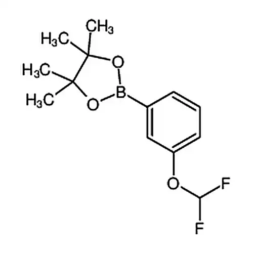 2-(3-(二氟甲氧基)苯基)-4,4,5,5-四甲基-1,3,2-二氧硼杂环戊烷