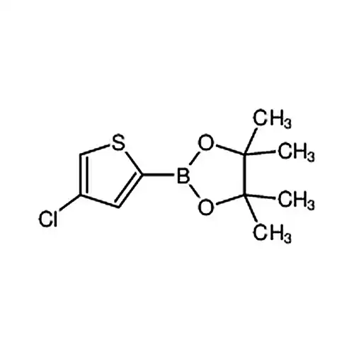 2-(4-氯噻吩-2-基)-4，4，5，5-四甲基-1，3，2-二恶硼烷