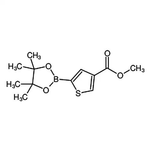 甲基 5-(4，4，5，5-四甲基-1，3，2-二氧杂硼戊环并-2-YL)噻吩-3-甲酸基酯