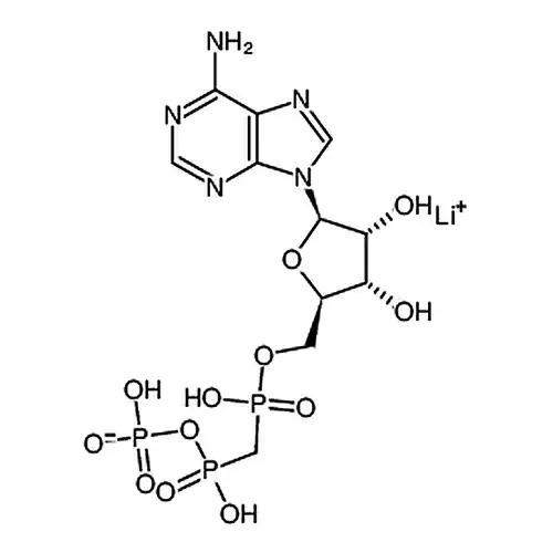 Α， β-亚甲基腺苷 5′-三磷酸盐 锂盐