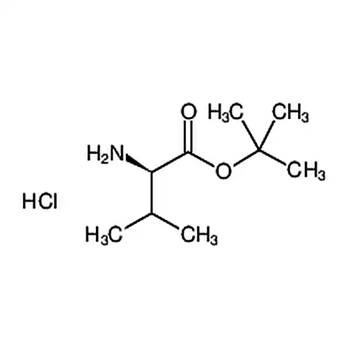 D-缬氨酸叔丁基盐酸盐