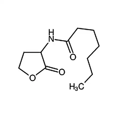 N-庚酰-DL-高丝氨酸内酯