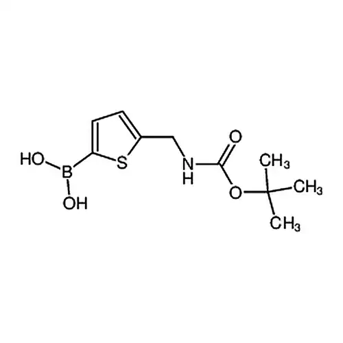 5-Boc胺基噻吩-2-硼酸