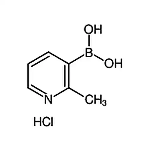 2-甲基吡啶-3-硼酸盐酸盐