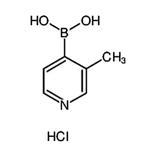 3-甲基-4-吡啶硼酸盐酸盐