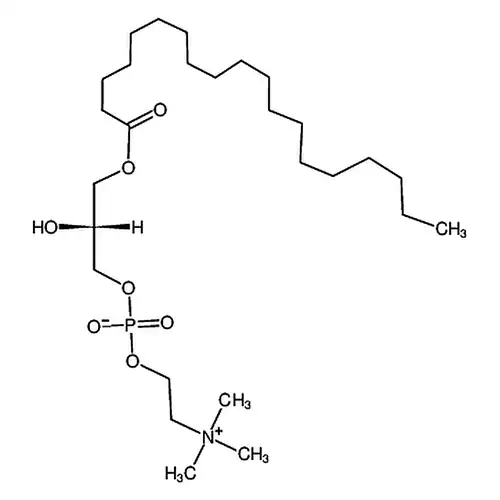 1-十八烷基-2-羟基-sn-甘油-3-磷酸胆碱
