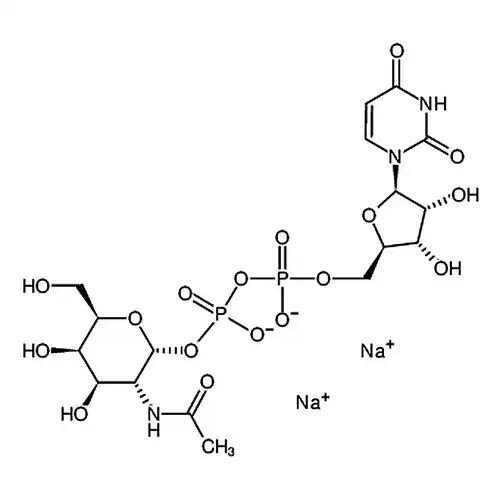 尿苷 5′-二磷酸-N-乙酰半乳糖胺 二钠盐