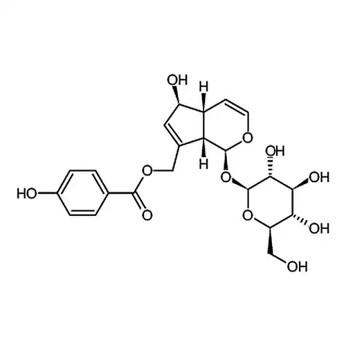 穗花牡荆甙