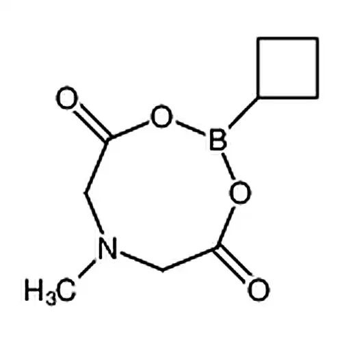 环丁基硼酸甲基亚氨基二乙酸酯