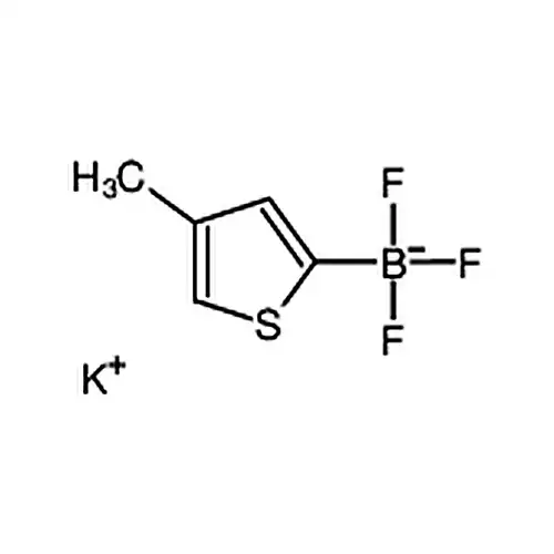 (4-甲基噻吩-2-基)三氟硼酸钾