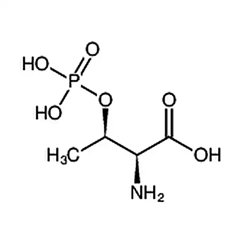 O-磷酸- L -苏氨酸