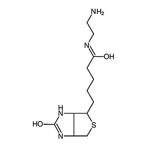 N-(2-氨基乙基)-5-((3aS,4S,6aR)-2-氧代六氢-1H-噻吩并[3,4-d]咪唑-4-基)戊酰胺盐酸盐
