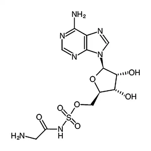 GlyRS-IN-1