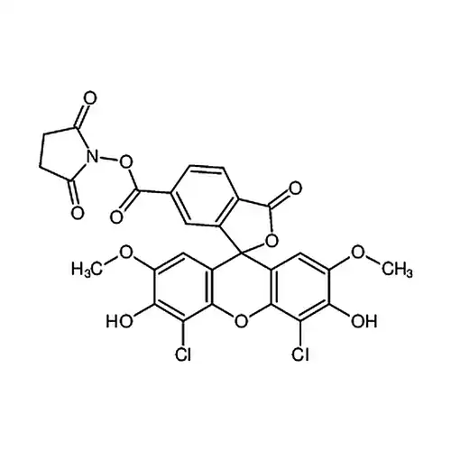 6-羧基-4,5-二氯-2,7-二甲氧基荧光素琥珀酰亚胺酯