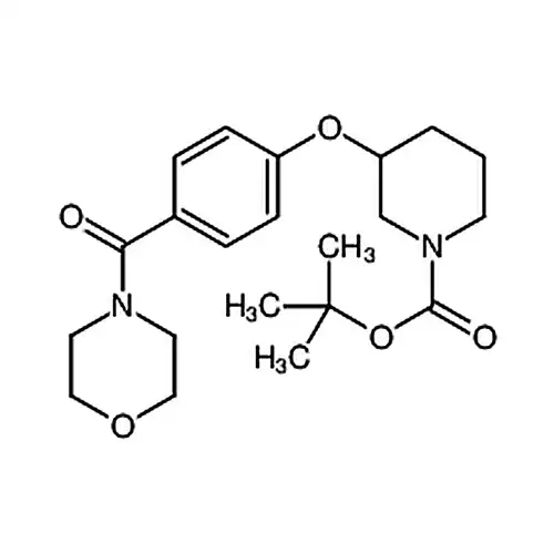 3-[4-(4-吗啉基羰基)苯氧基]-1-哌啶甲酸叔丁酯