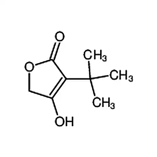 3-叔丁基-4-羟基呋喃-2(5H)-酮