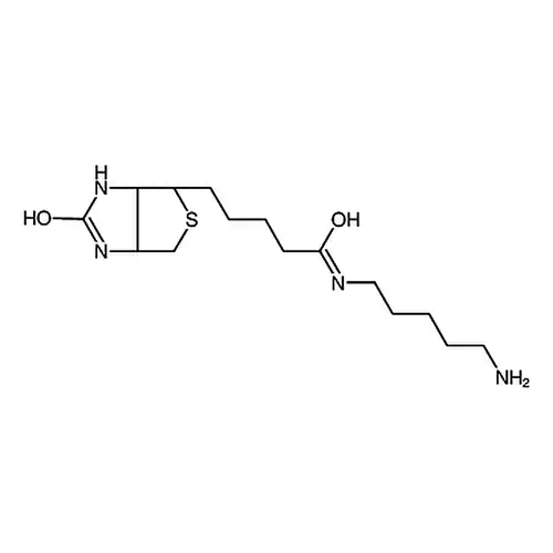 生物素-C5-胺