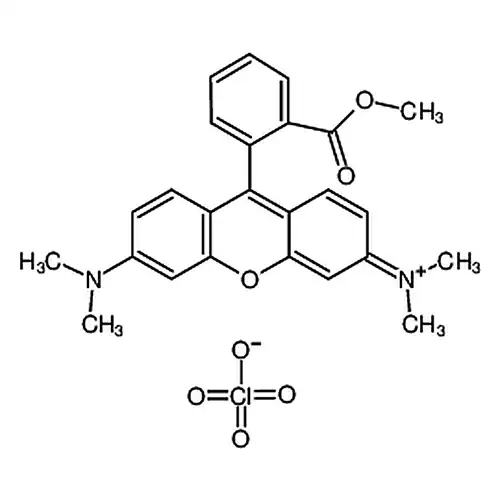 TMRM [Tetramethylrhodamine, methyl ester, perchlorate]