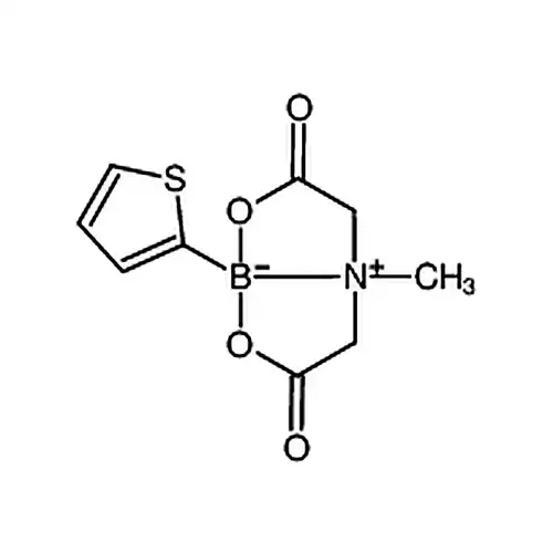 2-噻吩硼酸甲基亚氨基二乙酸酯