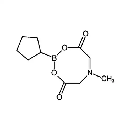 环戊基硼酸甲基亚氨基二乙酸酯