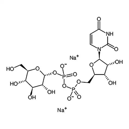 尿嘧啶核苷-5'-二磷酸葡萄糖