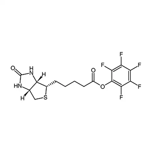 五氟苯酚生物素酯