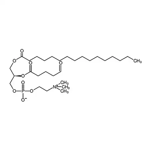1-棕榈酰-2-（5'-氧代戊酰）-sn-甘油-3-磷酸胆碱