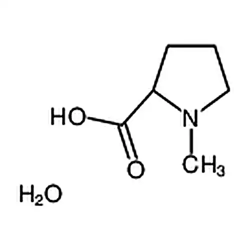 N-甲基-D-脯氨酸一水合物