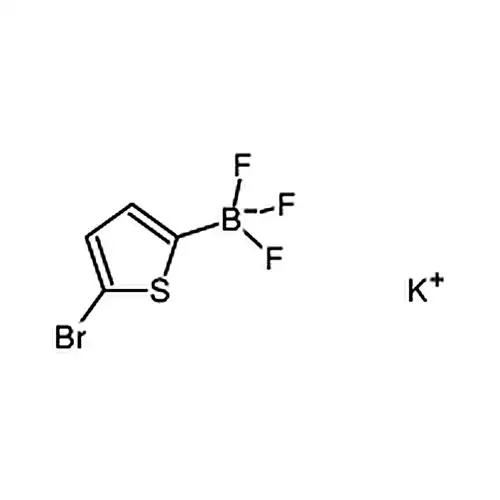 5-溴噻吩-2-三氟硼酸钾