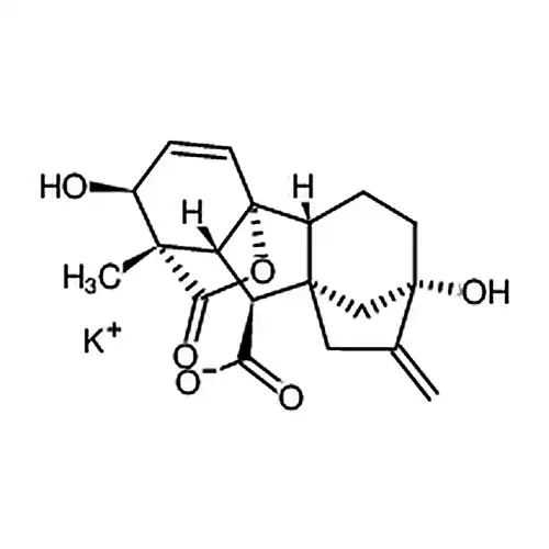 赤霉酸 钾盐