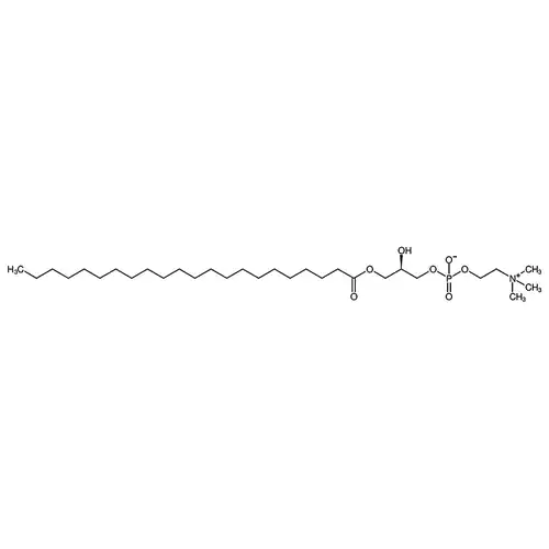 1-behenoyl-2-hydroxy-sn-glycero-3-phosphocholine