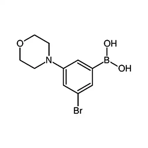 3-溴-5-吗啉苯硼酸