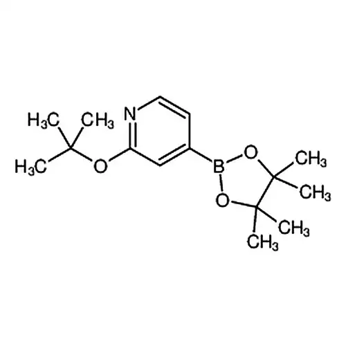 2-(叔丁氧基)-4-(4,4,5,5-四甲基-1,3,2-二氧硼杂环戊烷-2-基)吡啶