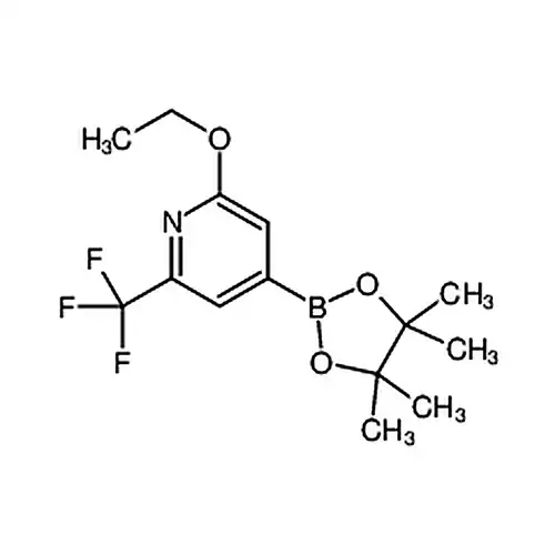 2-乙氧基-6-三氟甲基吡啶-4-硼酸频那醇酯