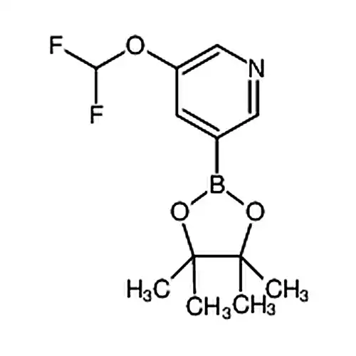 3-(二氟甲氧基)-5-(4,4,5,5-四甲基-1,3,2-二氧硼杂环戊烷-2-基)吡啶