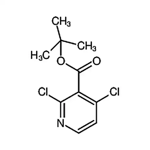 2，4-二氯烟酸叔丁酯