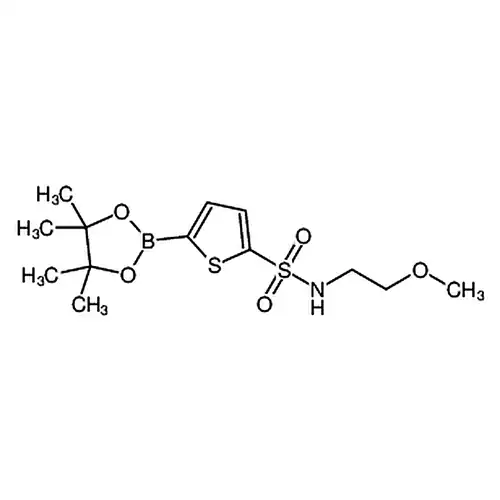 N-(2-甲氧基乙基)-5-(4，4，5，5-四甲基-1，3，2-二氧硼杂环戊烷-2-基)噻吩-2-磺酰胺
