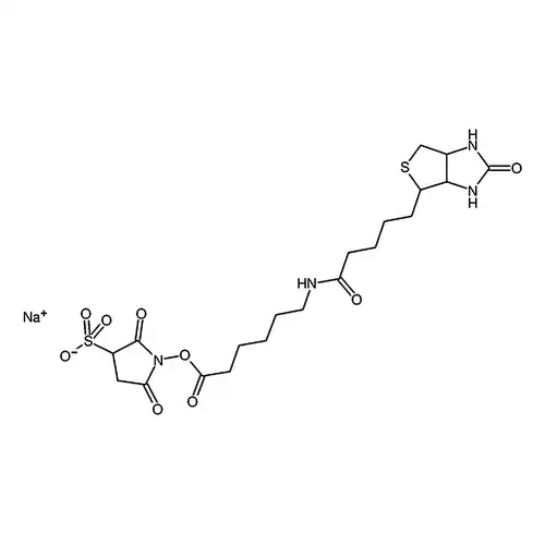 6-(生物素酰胺)己酸磺酸基琥珀酰亚胺酯钠盐