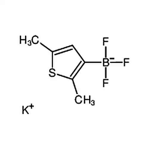 2，5-二甲基噻吩-3-三氟硼酸钾