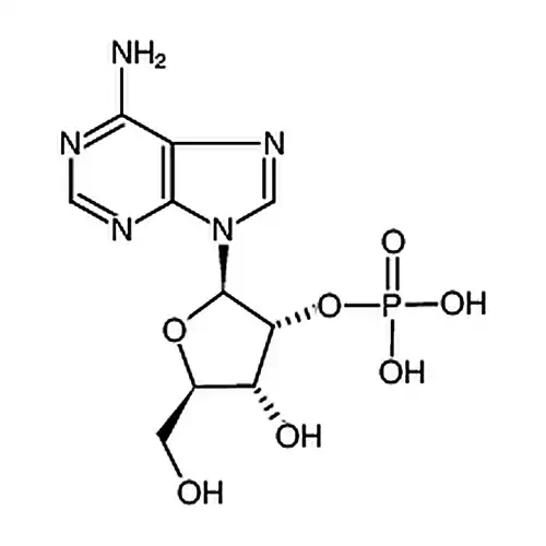 腺苷 2′(3′)-单磷酸混合异构体