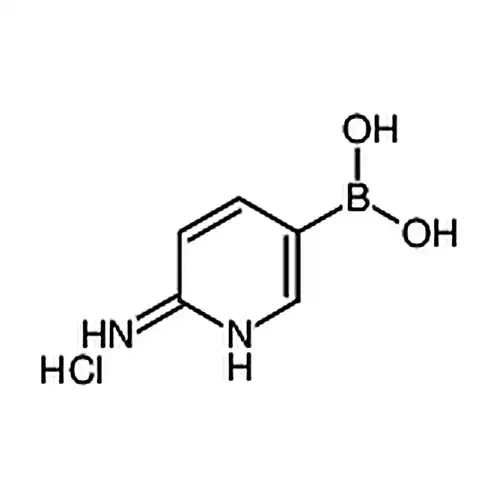 (6-氨基吡啶-3-基)硼酸盐酸盐