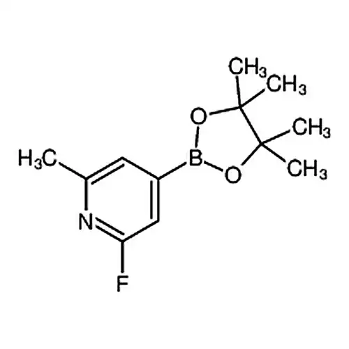 2-氟-6-甲基-4-(4,4,5,5-四甲基-1,3,2-二氧硼杂环戊烷-2-基)吡啶