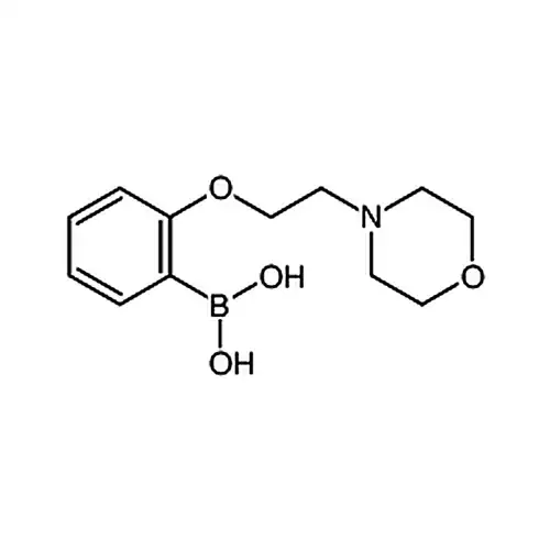 2-(2-吗啉代乙氧基)苯基硼酸