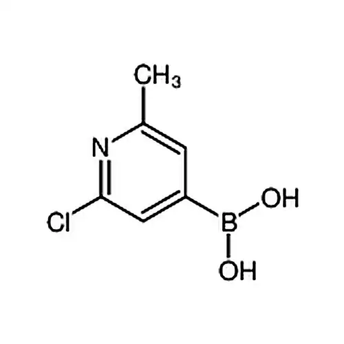 2-氯-6-甲基吡啶-4-硼酸
