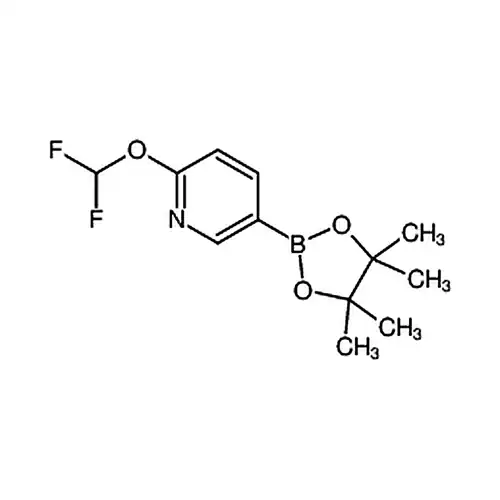 2-(二氟甲氧基)-5-(4,4,5,5-四甲基-1,3,2-二氧硼戊烷-2-基)吡啶