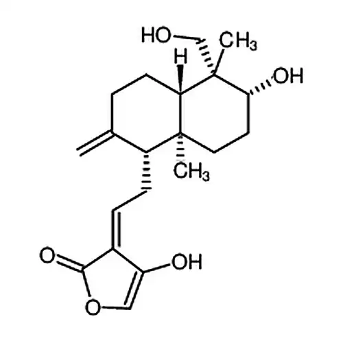 脱水穿心莲内酯