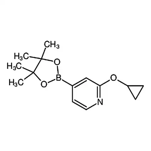 2-环丙氧基-4-(4,4,5,5-四甲基-1,3,2-二氧杂环戊硼烷-2-基)吡啶